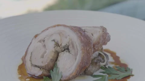 Cooked Meat Slices with Sauce and Herbs Served Outdoors in Sydney, Australia Stock Footage 345725865