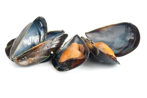 Cooked mussels Stock Photos