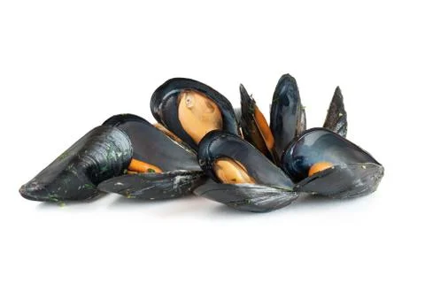 Cooked mussels Stock Photos