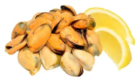 Cooked Mussels Stock Photos