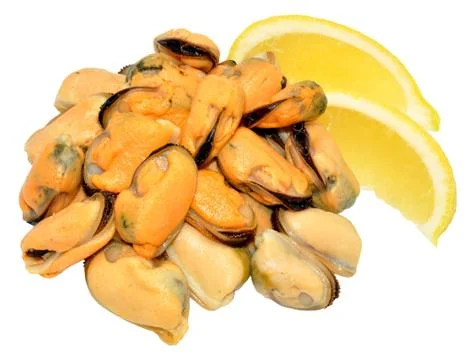 Cooked Mussels Stock Photos
