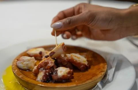 Cooked octopus dish Stock Photos