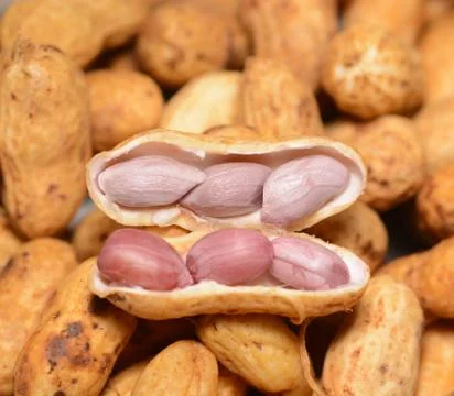 A cooked peanut shell pile Stock Photos