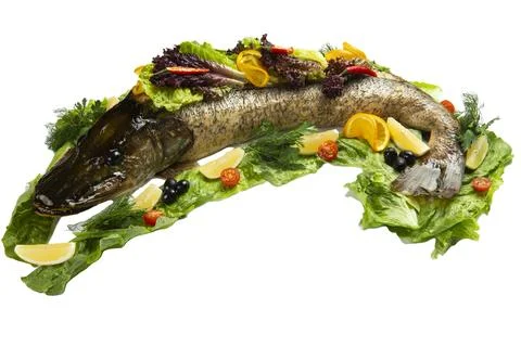 Cooked pike on lettuce. Selective focus Stock Photos