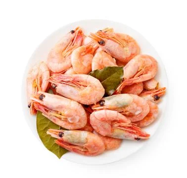Cooked prawns in a plate on a white background. The view from top. Stock Photos