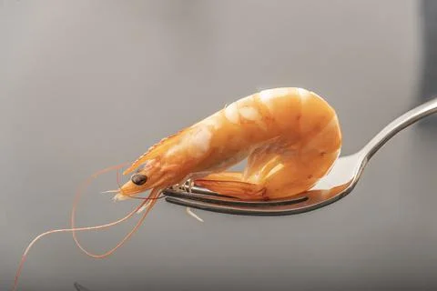 Cooked prawns presented for consumption on a stone slab. Stock Photos