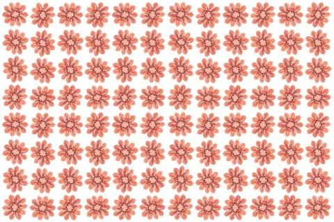 Cooked prawns snack pattern. Isolated boiled shrimps background. Stock Photos