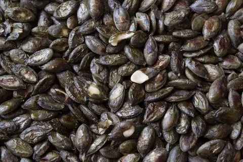 Cooked pumpkin seeds background, texture. Healthy food. Vegeterian and diet c Foto stock