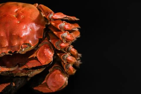 Cooked red crab on black background Stock Photos