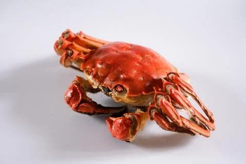 Cooked red crab isolated on white background Stock Photos