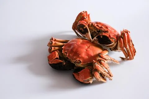Cooked red crabs on white background Stock Photos