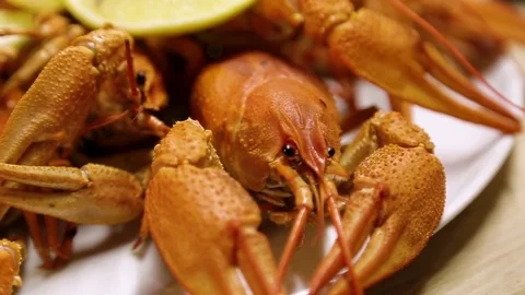 Cooked red crayfish on a wooden table in the fish restaurant of Georgia. Red cra Stock Footage 82529542