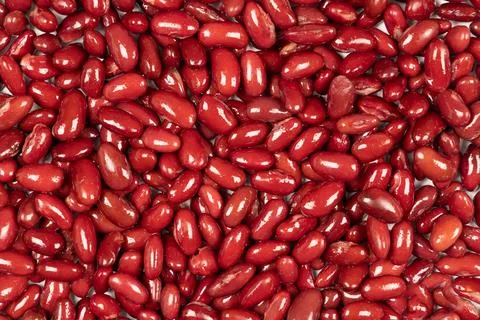 Cooked red kidney beans. Full frame. Stock Photos