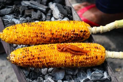 Cooked roasted corn looks really good in cold weather. Stock Photos