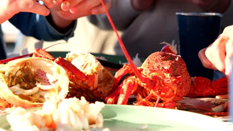 Cooked rock lobster crayfish being dismembered and eaten, seafood delicacy Stock Footage 327275822