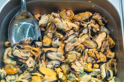 Cooked seafood in assortment Stock Photos