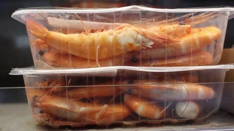 Cooked shrimp packed in clear containers in a supermarket seafood section Stock Footage 346165975