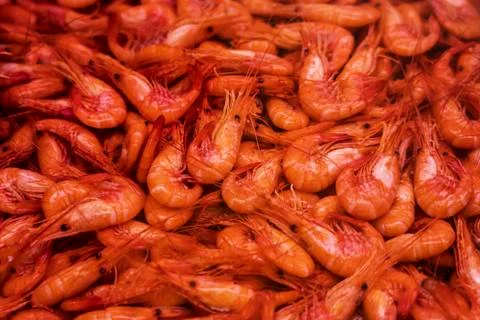 Cooked shrimp ready to be served Stockfoto's