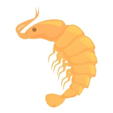 Cooked shrimp standing curled up on white background Stock Illustration