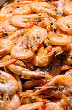 Cooked shrimps Stock Photos