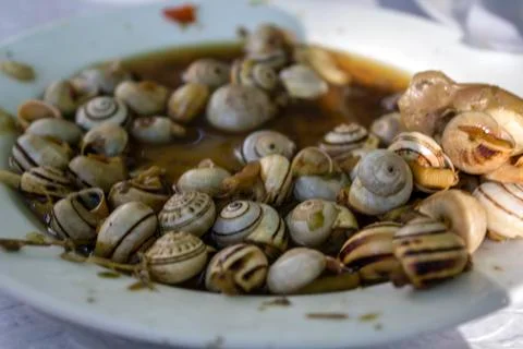 Cooked snails or escargot close up Stock Photos