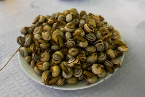 Cooked snails or escargot Stock Photos