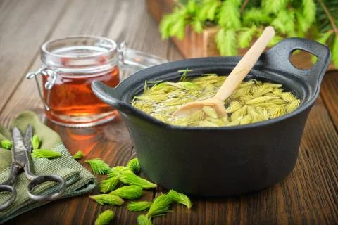 Cooked spruce tips in a black pan, jar of  honey or syrup from fir buds. Stock Photos