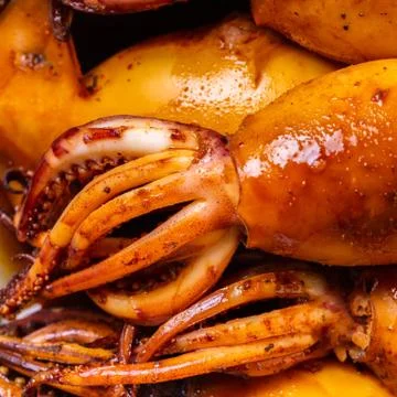 Cooked squid close-up Foto stock