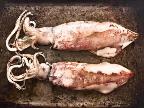 Cooked whole squid Stock Photos