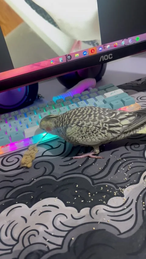 Cookie Always Finds a Way to Destroy My Computer Mouse, Philippines - 05 Sep 202 動画素材 316715545