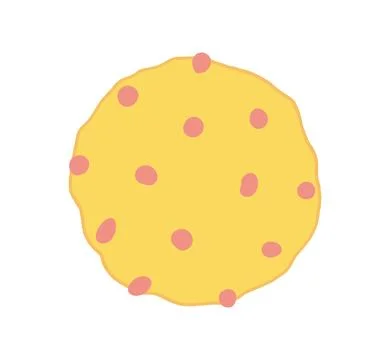 Cookie, biscuit with pink chips, berries illustration isolated. Stock Illustration