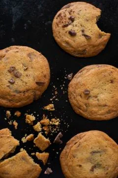 Cookie dark background chocolate chip Stock Photos