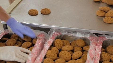 Cookie factory workers are sorting and packing oat biscuits on stainless steel Stock Footage 92442469
