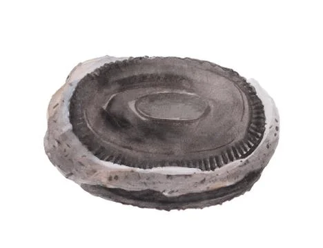 Cookie with ice cream Stock Illustration