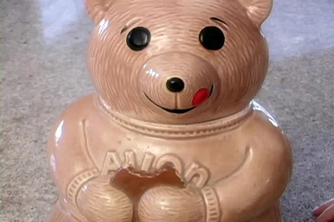 Cookie Jar Stock Footage 348604