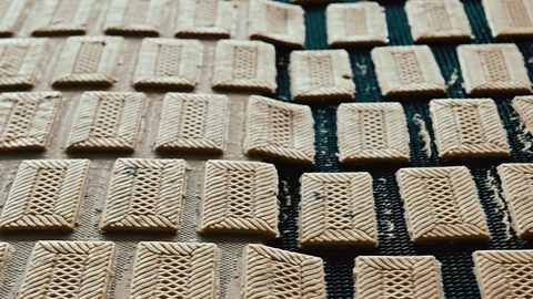 Cookie making factory process conveyor Stock Footage 107082376