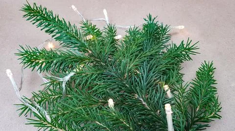 The cookie mold in the form of a Christmas tree lies on the fir branches. the Stock Photos