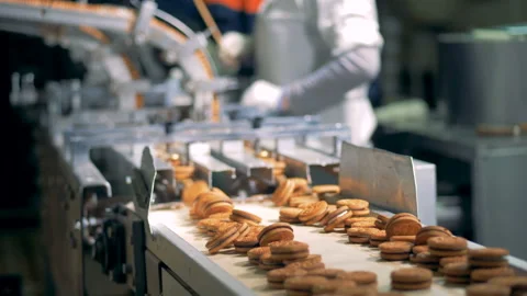 Cookies are going down the conveyor belt of a factory machine with workers in Vidéo 85927043
