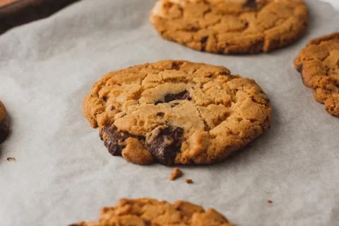 Cookies on a baking parchment Stock Photos