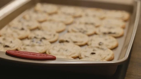Cookies on baking sheet rack focus Stock Footage 120524565