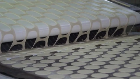 Cookies at the factor Stock Footage 130123173
