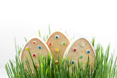 Cookies in the Image of Easter Eggs on the Grass. Isolated Stock Photos