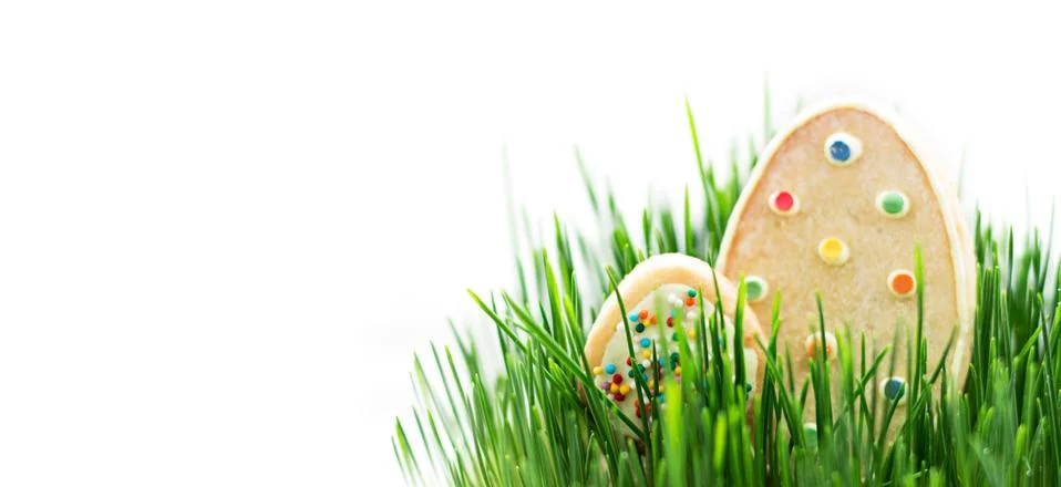 Cookies in the Image of Easter Eggs on the Grass. Isolated Stock Photos