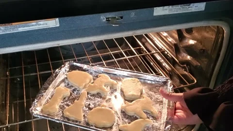 Cookies placed into oven for baking. Stock Footage 213752796
