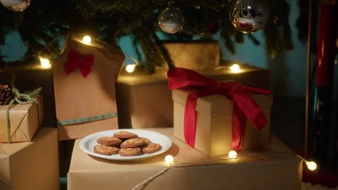Cookies for Santa Claus under the tree Stock Footage 256661191