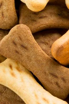 Cookies in the shape of bone Stock Photos