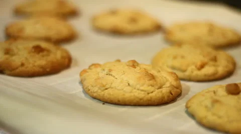 Cookies on a Tray Stock Footage 46782557