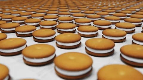 Cookies with white marshmallows. Stock Footage 278708357