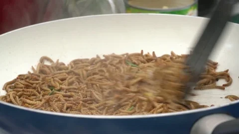 Cooking and frying of worms Stock Footage 75864855