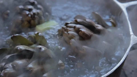 Cooking Artichoke Stock Footage 118019680